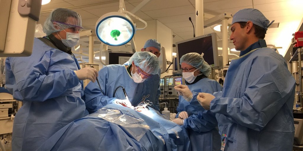 NREFORG's tweet image. Since its founding, NREF has invested $30M+ in fellowships, research & education. Help us do even more. Give today: ow.ly/vqf650WjCrj #Neurosurgery #donate #giveback #philanthropy