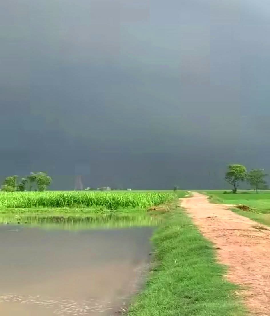 हँसते रहा करों दोस्तों,
उदास रहने से कौन सी,
परेशानियां कम होने वाली हैं।
         शुभ संध्या 🙏