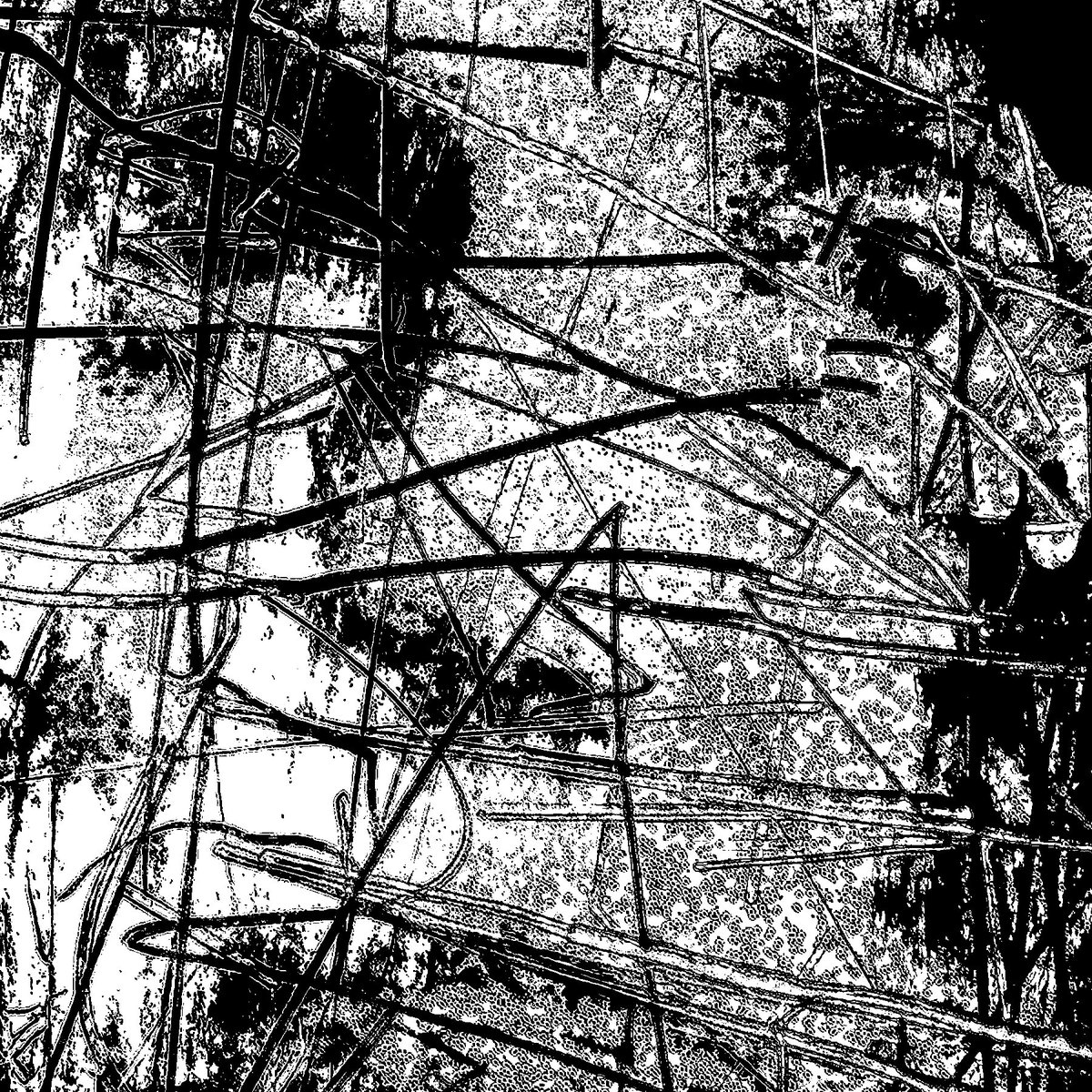 Jesse Draxler (@jessedraxler) on Twitter photo first three tracks from my ongoing audio project 𝑾𝑶𝑹𝑲𝑰𝑵𝑮 𝑻𝑰𝑻𝑳𝑬 are up now on streaming & bandcamp.
collaborations with Presser, <a href="/traceamountnyc/">Brandon Gallagher</a> , & OAA
▼ first three tracks from my ongoing audio project 𝑾𝑶𝑹𝑲𝑰𝑵𝑮 𝑻𝑰𝑻𝑳𝑬 are up now on streaming & bandcamp.
collaborations with Presser, <a href="/traceamountnyc/">Brandon Gallagher</a> , & OAA
â–Ľ