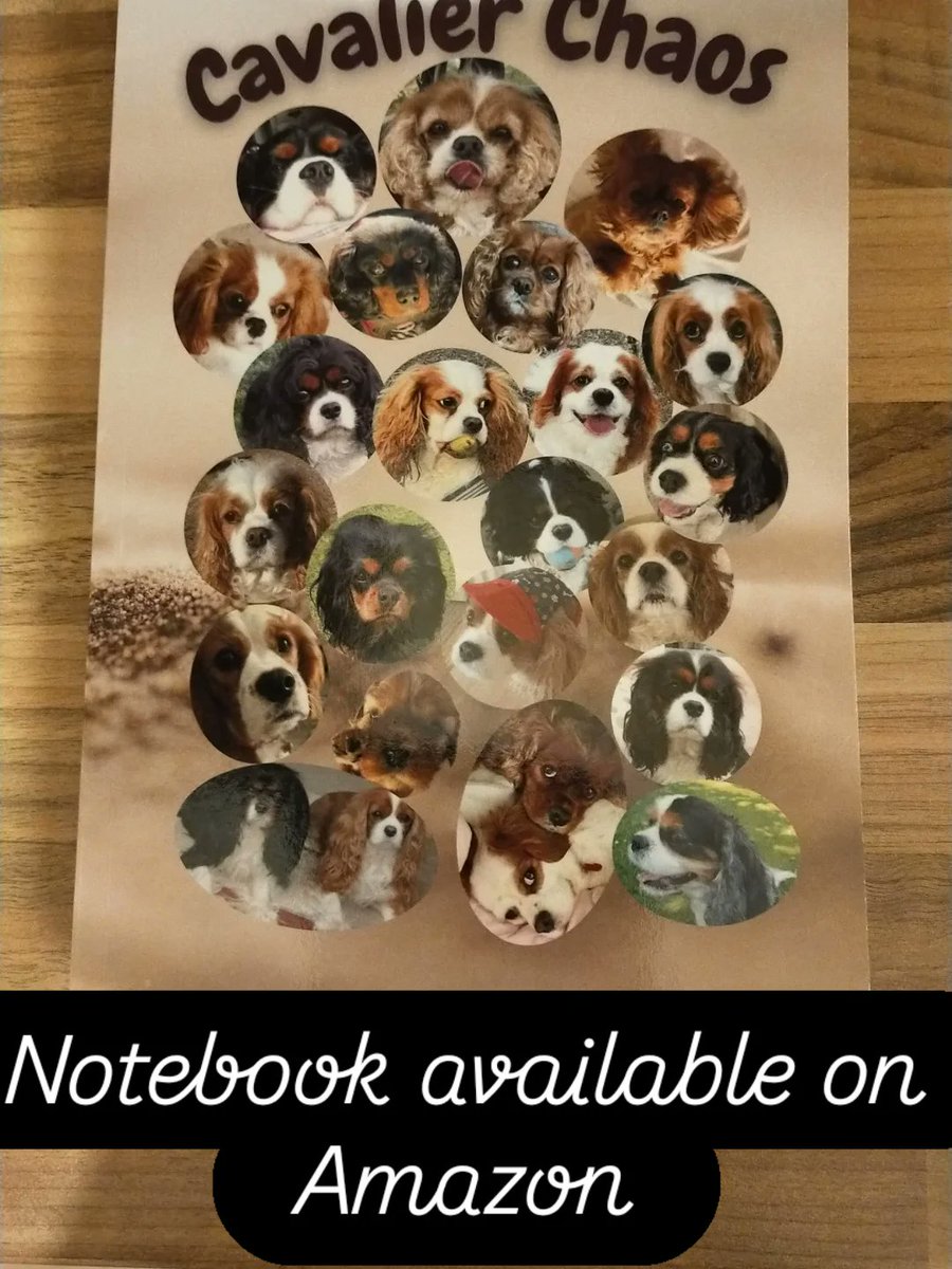 CavBooks's tweet photo. Cute Cavalier notebook! Sweet gift for Cavalier King Charles Spaniel people. https://t.co/CRBrYwuV3p