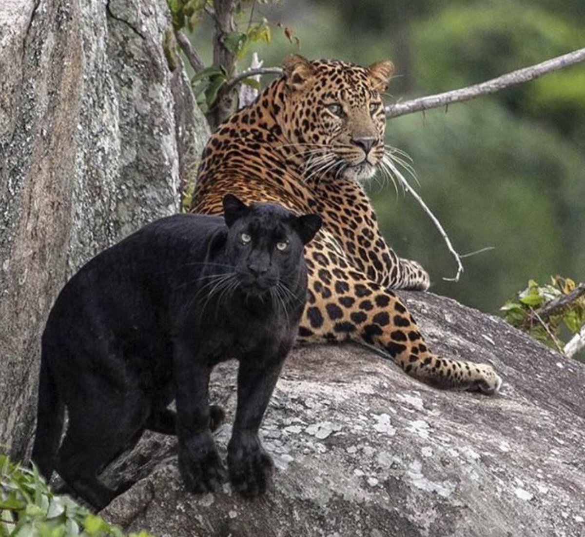 Jessica Solce (@jessicasolce) on Twitter photo 