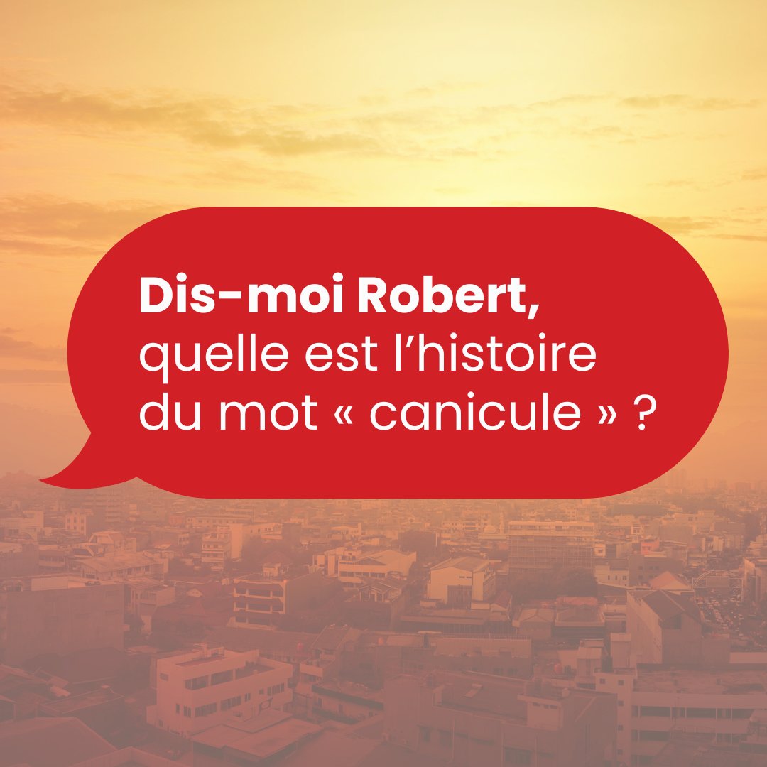 LeRobert_com's tweet image. Connaissez-vous l’origine de ce mot qui fait suer tout le monde ?