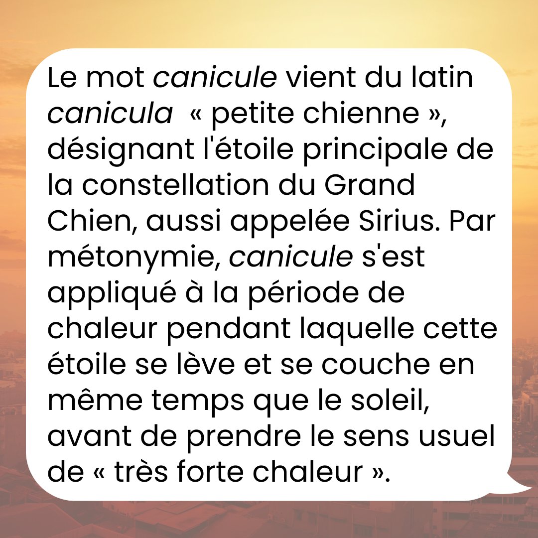 LeRobert_com's tweet image. Connaissez-vous l’origine de ce mot qui fait suer tout le monde ?