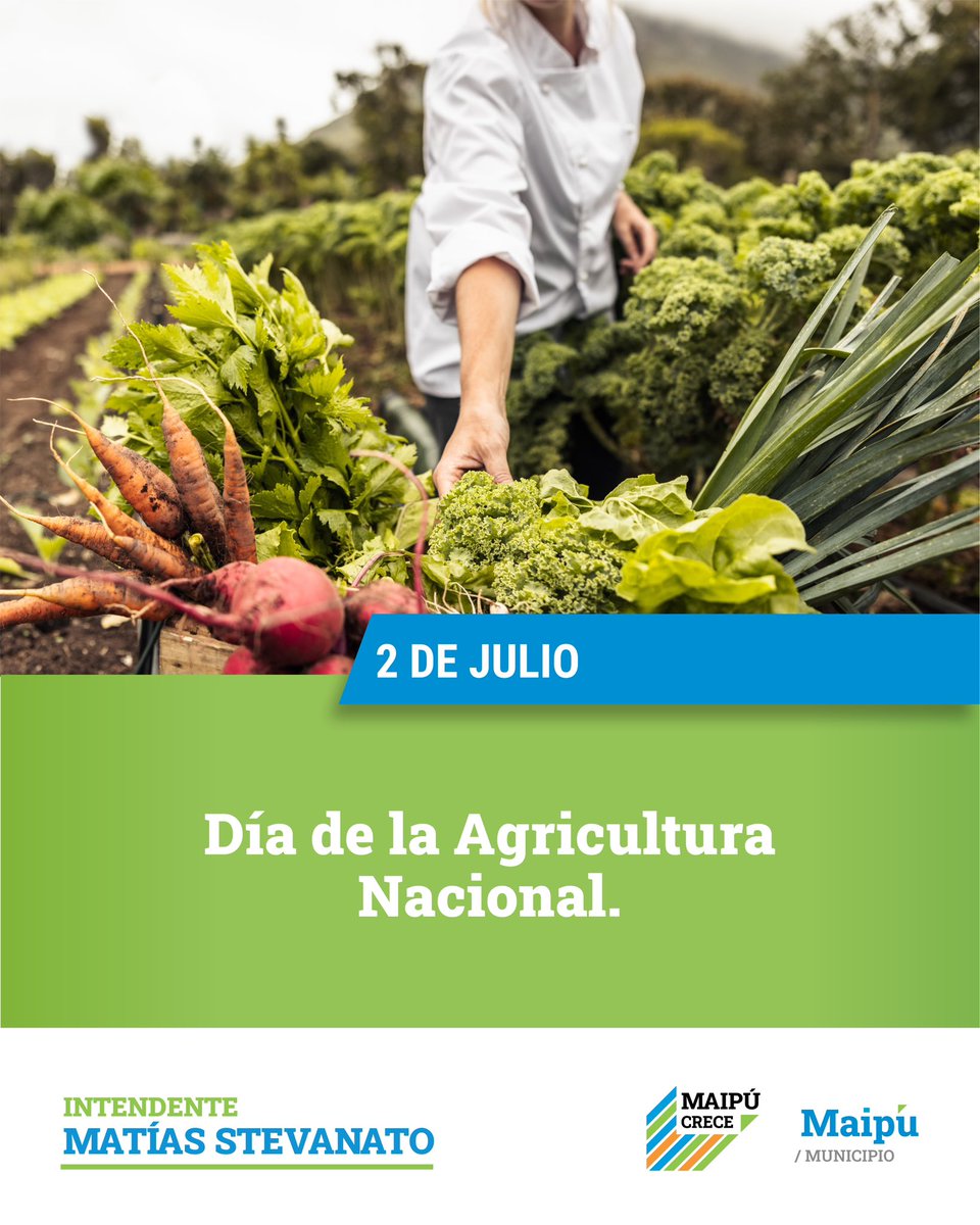 Matias Stevanato (@matiasstevanato) on Twitter photo 