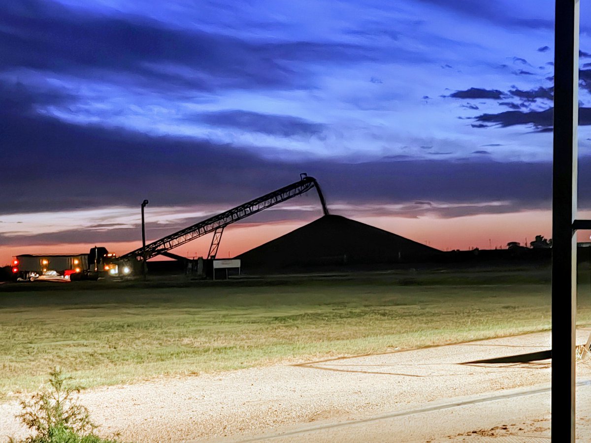 c_qwc's tweet photo. Wheat harvest Eastern Colorado. https://t.co/1mnxsoJ9lT