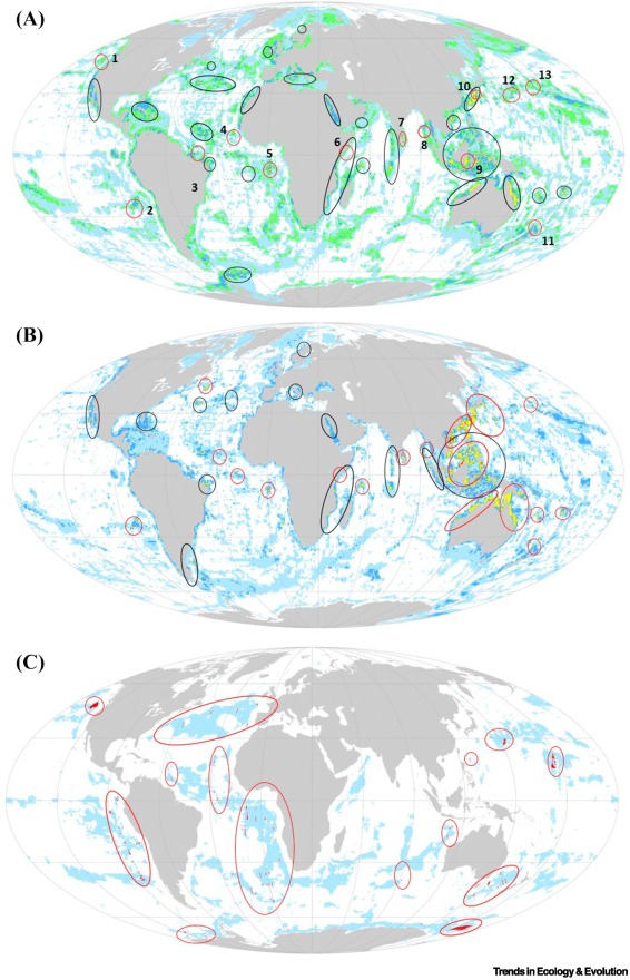 Online now: Ecologically representative Marine Protected Area planning can think globally and act locally dlvr.it/TLhFQX