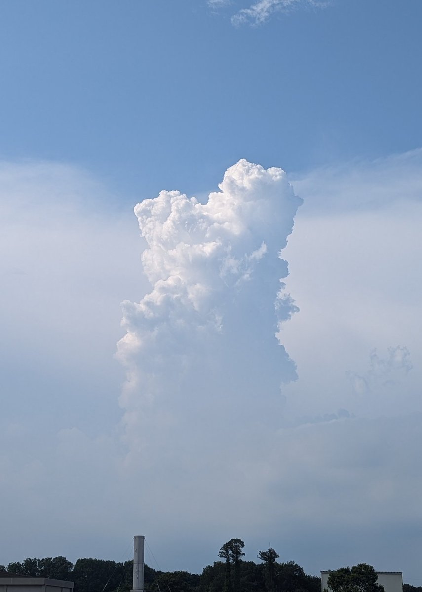 教科書に載りそうな塔状積雲が乱立していた。