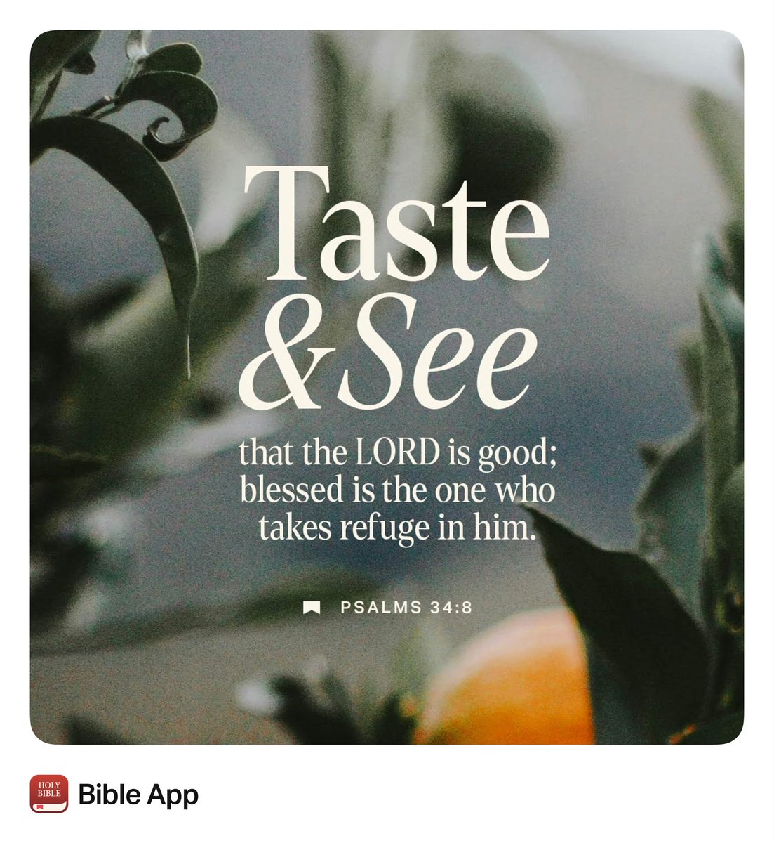 Coach Kendall (@coach_kendall_1) on Twitter photo 