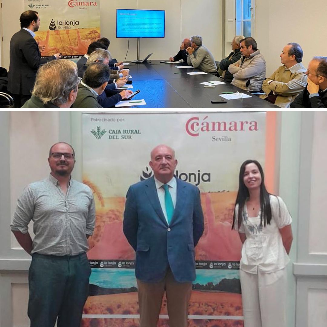ASCAME 🌍 (@ascameorg) on Twitter photo 📍 ASCAMEprojects: <a href="/camaradesevilla/">Cámara de Comercio de Sevilla</a> -collaborating with #STAPLESproject within ASCAME's network- and <a href="/UNISG/">Gastronomic Sciences</a> -partner of the STAPLES Project in charge of this specific activity field research- organized 20 interviews with key actors of the cereal sector of Sevilla (Spain). 📍 ASCAMEprojects: <a href="/camaradesevilla/">Cámara de Comercio de Sevilla</a> -collaborating with #STAPLESproject within ASCAME's network- and <a href="/UNISG/">Gastronomic Sciences</a> -partner of the STAPLES Project in charge of this specific activity field research- organized 20 interviews with key actors of the cereal sector of Sevilla (Spain).