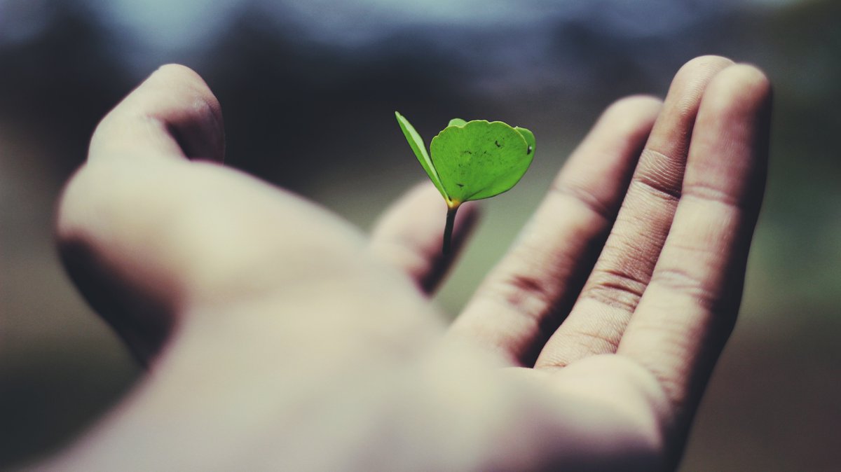 Edinburgh Tourism Action Group (ETAG) (@etag_uk) on Twitter photo Sustainable Storytelling Workshop 💚
Through hands-on exercises, you'll turn your environmental values into powerful marketing narratives that resonate with today's conscious consumers.
📅 Tue 8 July
🕜 1:30pm - 4:30pm
📍 Online
Sign-up 👇
bgateway.com/events/sustain…
<a href="/bgateway/">Business Gateway</a> Sustainable Storytelling Workshop 💚
Through hands-on exercises, you'll turn your environmental values into powerful marketing narratives that resonate with today's conscious consumers.
📅 Tue 8 July
🕜 1:30pm - 4:30pm
📍 Online
Sign-up 👇
bgateway.com/events/sustain…
<a href="/bgateway/">Business Gateway</a>