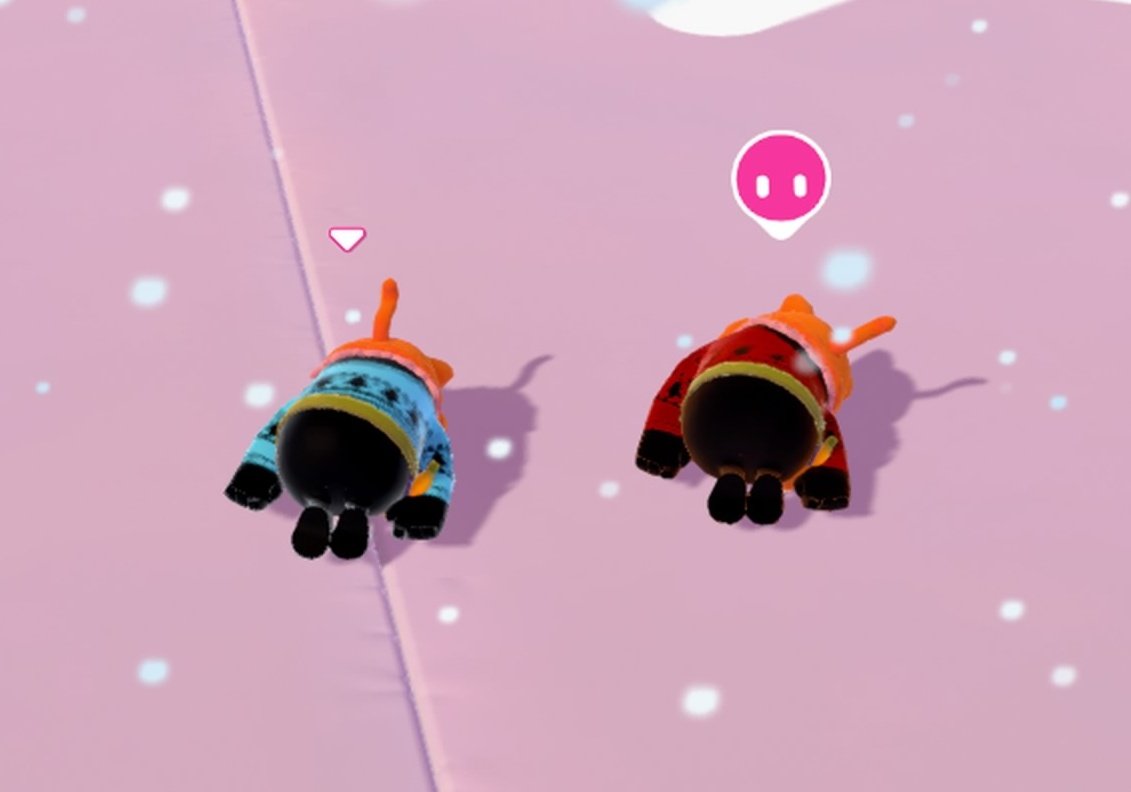 ミスが続いてやってしまった2人🙃
この後おんぶしあってゴール🏁