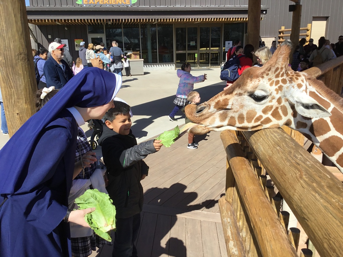 NunsHolding's tweet image. A Religious Sister of the School Sisters of Christ the King in Lincoln, Nebraska holding lettuce leaves while a child feeds lettuce to a giraffe. Photo from the Sisters' Facebook page at facebook.com/cksisters/post….