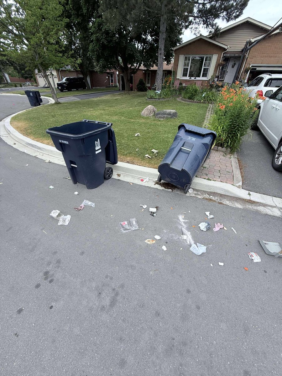 qtcol's tweet photo. @CityNewsTO @cityoftoronto @fordnation @oliviachow @311Toronto LIKE WTF!!! https://t.co/B6fz4y9Zct
