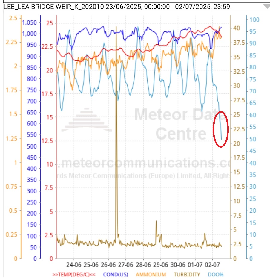 The River Lea's monitors show how vulnerable it is in the summer.
Warm water holds less oxygen but sun boosts photosynthesis. 
Today's clouds mean less oxygen (the red ovals). 
We're lucky there wasn't more rain to wash pollution off paved areas. In 2023 thousands of fish died.
1