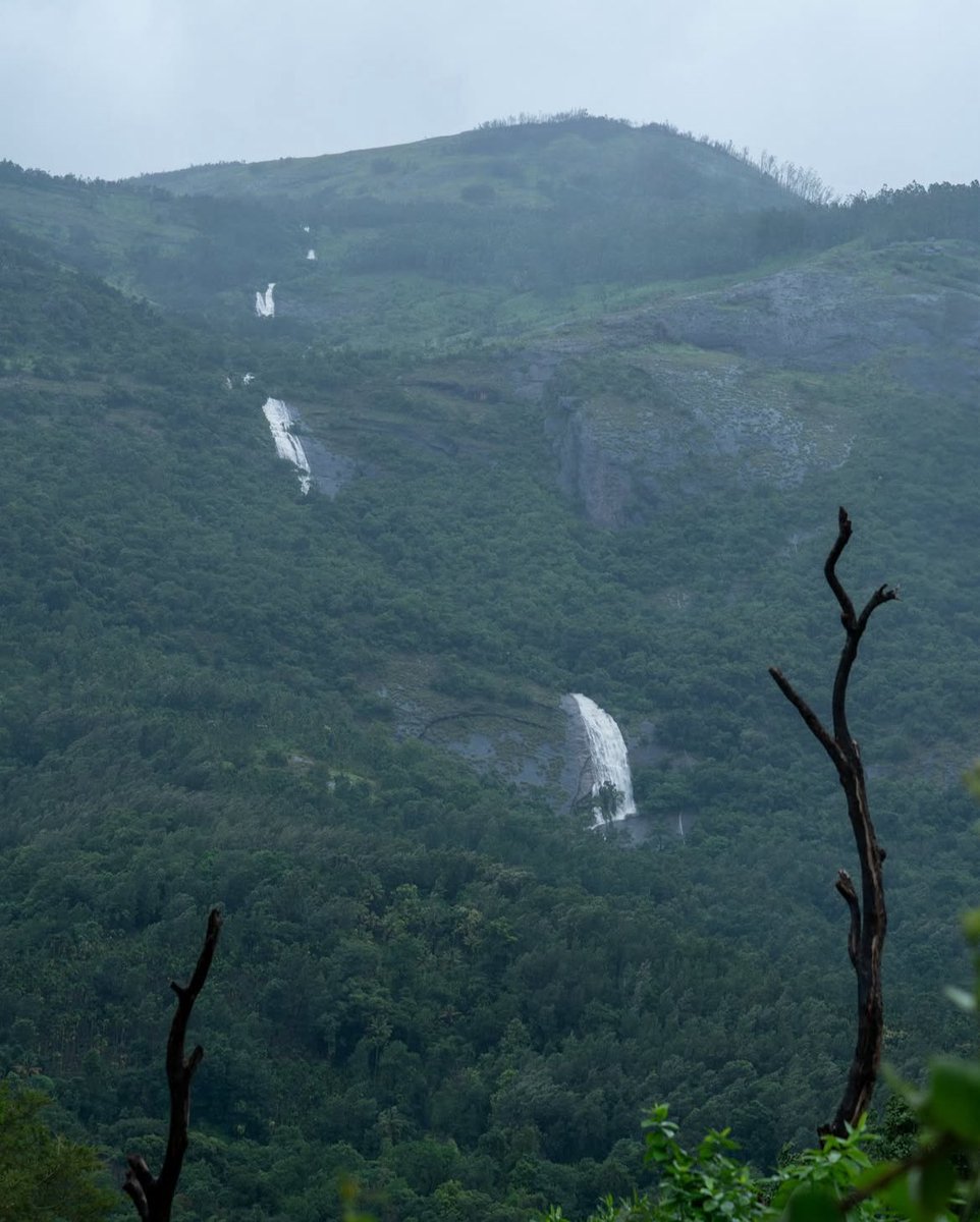Aquaeimpactorg's tweet photo. 🌱 AQUAE selects sites with forest cover or active restoration using IUCN Habitat Classification.
Each site is mapped, legally verified & ecologically profiled to ensure integrity, maturity & community alignment.
#ALECI #AQUAE #ClimateAction #IUCN #RestorationEconomy https://t.co/OmQcbOrN2r