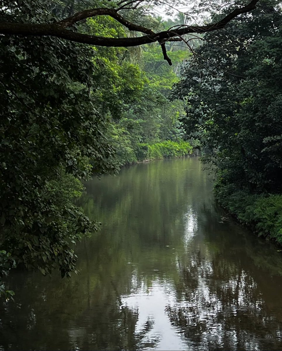 Aquaeimpactorg's tweet photo. 🌱 AQUAE selects sites with forest cover or active restoration using IUCN Habitat Classification.
Each site is mapped, legally verified & ecologically profiled to ensure integrity, maturity & community alignment.
#ALECI #AQUAE #ClimateAction #IUCN #RestorationEconomy https://t.co/OmQcbOrN2r