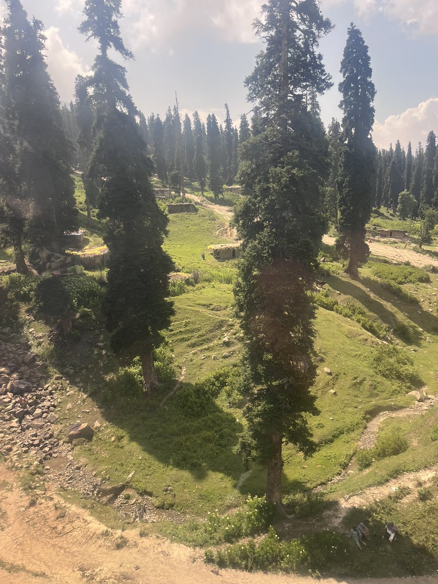 Nabi Bhat (@nabibhat1978) on Twitter photo This Week was fun filled and exhilarating. The Gulmarg and Wimbledon have crafted their place in the memory of people one for it’s magistic beauty and Wimbledon for heart stopping action.
I am rooting for <a href="/jokerNole/">Novak Djokovic Fans</a> This Week was fun filled and exhilarating. The Gulmarg and Wimbledon have crafted their place in the memory of people one for it’s magistic beauty and Wimbledon for heart stopping action.
I am rooting for <a href="/jokerNole/">Novak Djokovic Fans</a>