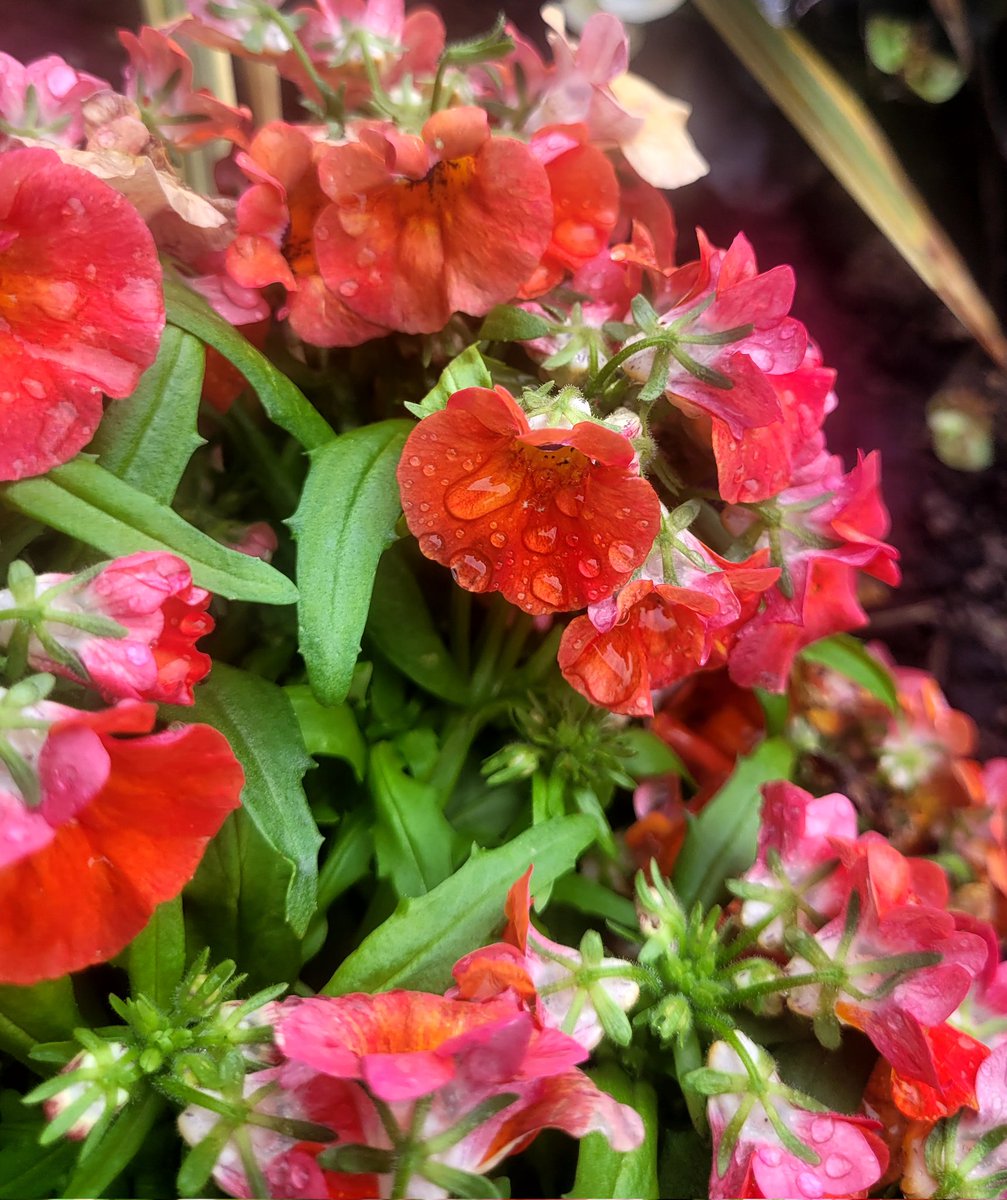 SarahMKhakwani's tweet photo. It #rained https://t.co/a8rRagEgzE