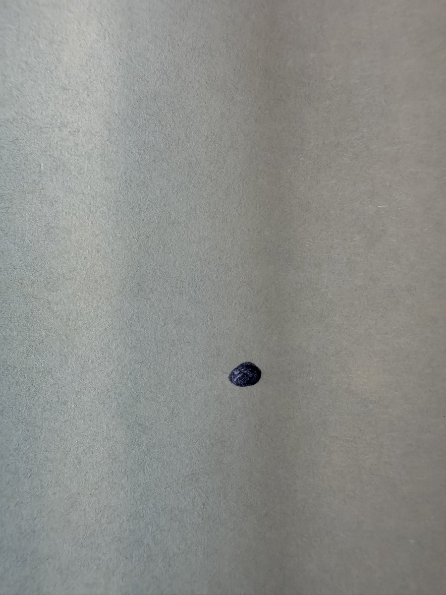 <a href="/Cobratate/">Andrew Tate</a> It's a pencil dot