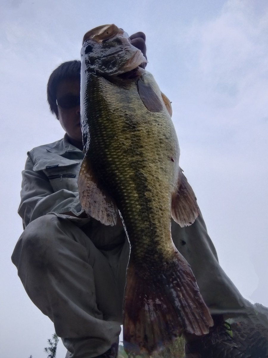 ⭐︎のに⭐︎です！！ 79757395abb3f585023e6ad19e49eb