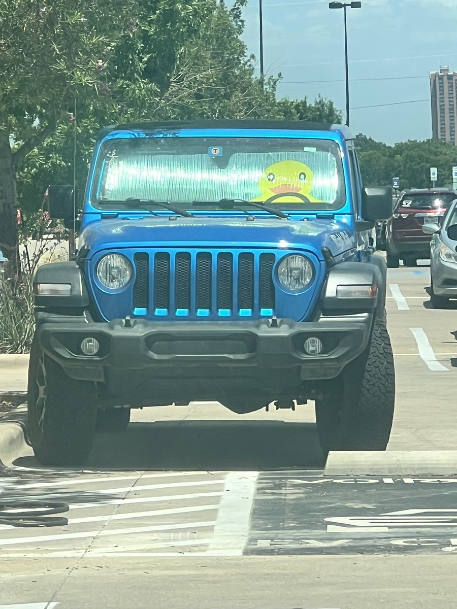 LiamScotM's tweet photo. L: People these days…letting rubber ducks drive their cars🙄. 
😂 https://t.co/wwBMxupeyl