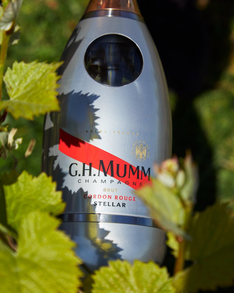 Beneath the sky, our vines are rooted in tradition. As Mumm Cordon Rouge Stellar prepares for space, it carries the essence of terroir, savoir-faire and the spirit of innovation with Pinot Noir at its heart.