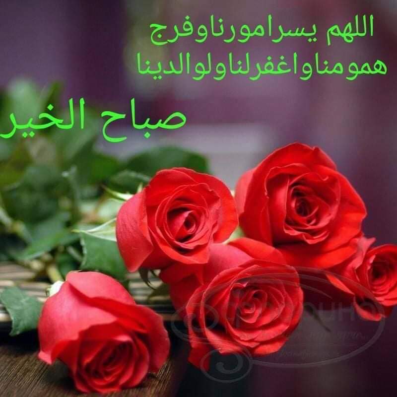 يوم جميل 💞🌹☕