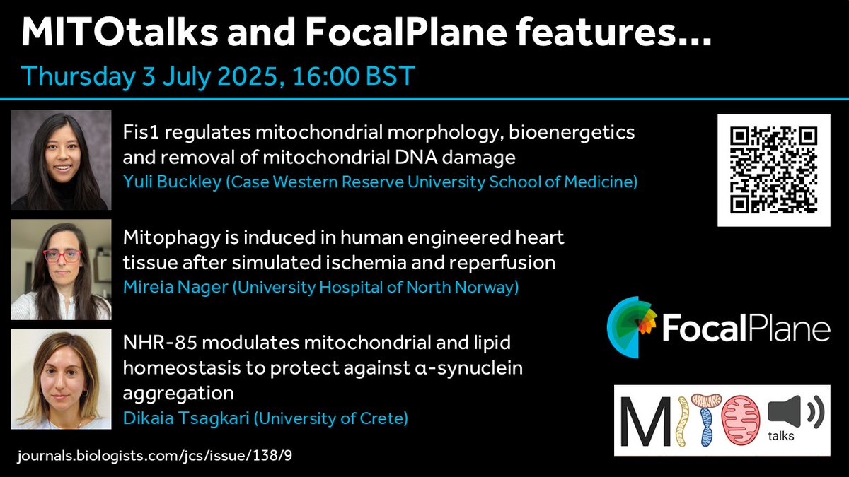 Join us tomorrow (3 July) for our webinar with <a href="/MitOtalks/">MITOtalks</a> showcasing research from our recent Special Issue: Cell Biology of Mitochondria.

🗓️Thursday 3 July 2025, 16:00 BST

Register here: us02web.zoom.us/webinar/regist…
#webinar #mitochondria #cellbio