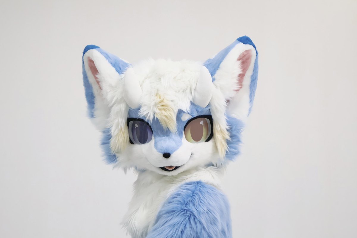 WILDZ tweet media