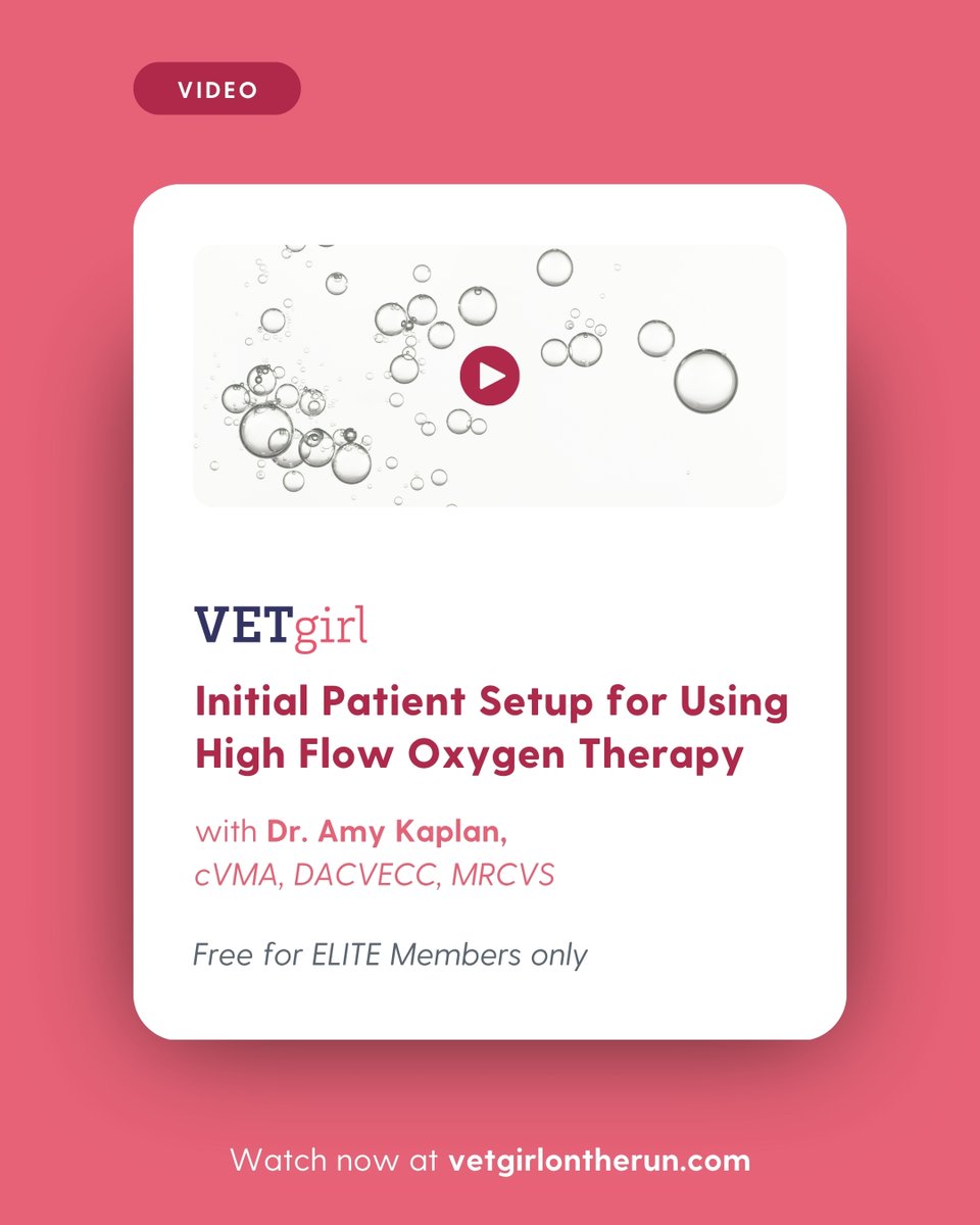 🎥 How to Set Up High-Flow Oxygen Therapy Using the AIRVO2 Unit 💨🐾

🔗 vetgirlontherun.com/videos/initial…

#VETgirl #VeterinaryEducation #CriticalCare #VetMed #HighFlowOxygen #AIRVO2 #VeterinaryCE #VetLife #EmergencyVet