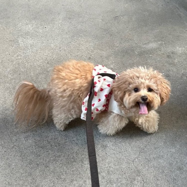 ︎︎︎︎ ︎ tweet media