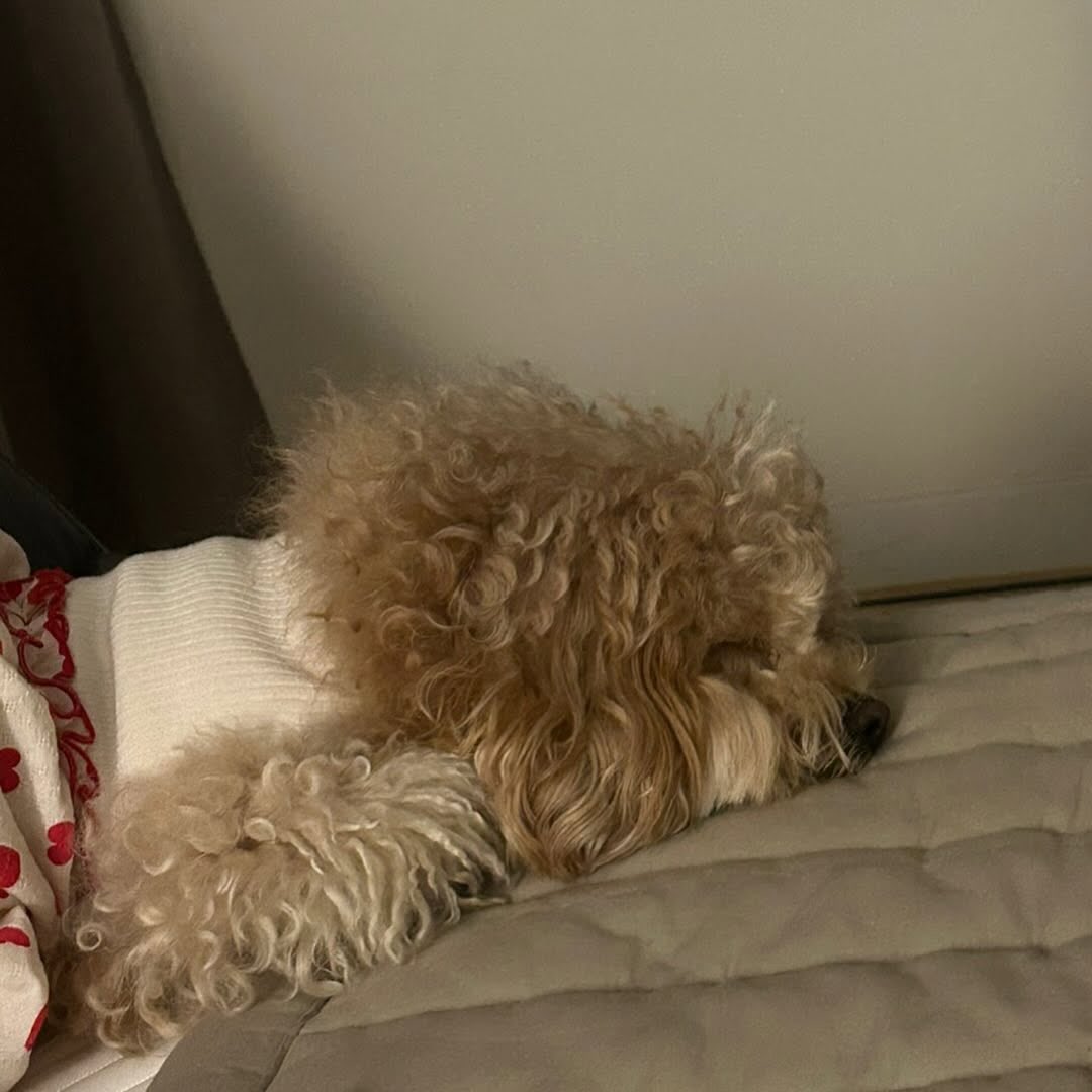 ︎︎︎︎ ︎ tweet media