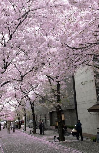 恋、叶わない。 ヴリトラ に全部壊してもらいたい。