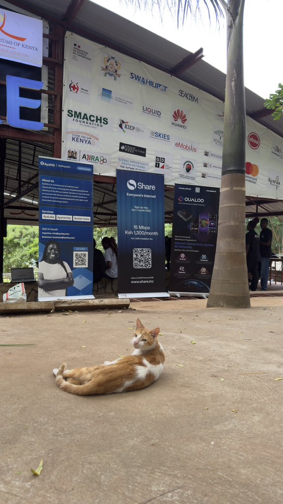 Tkachuk_science's tweet image. Cat is part of DePIN and you should be too!