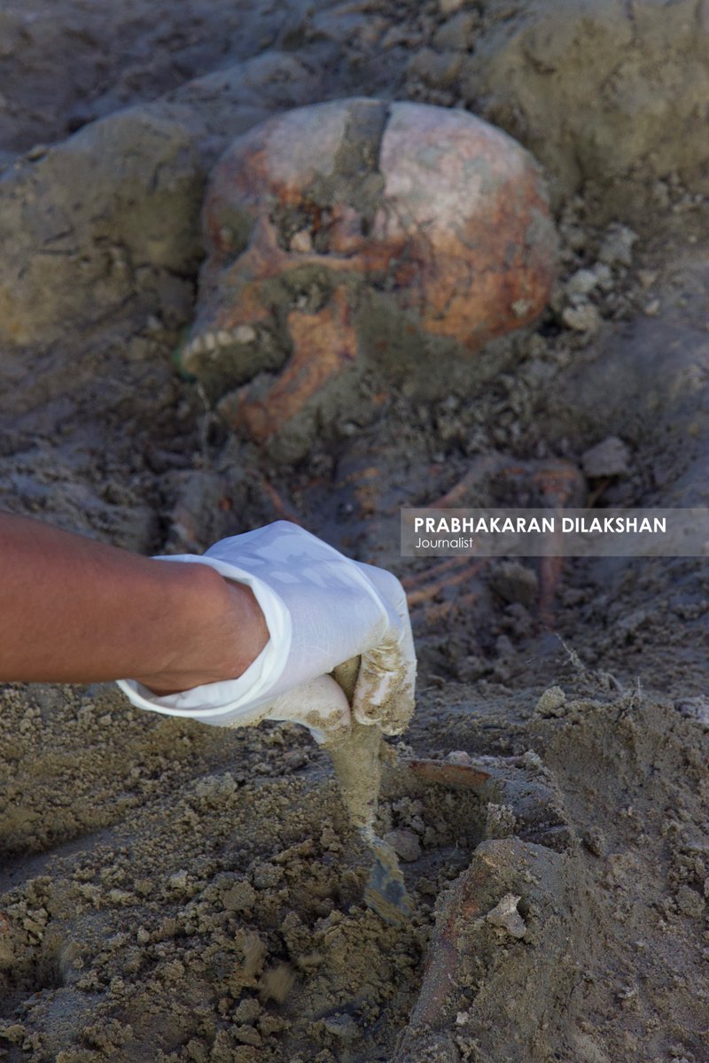 During today’s excavation at the Chemmani mass grave in jaffna, four new sets of human remains have been identified, including one suspected to belong to a child.

So far, a total of 38 sets of human remains have been identified at the Chemmani mass grave. #chemmani  #jaffna