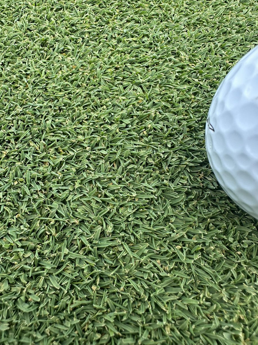 PollioNick's tweet image. Beautiful day on the golf course, but another reel casualty!