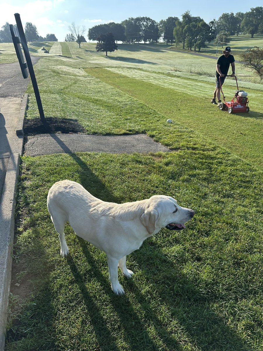 PollioNick's tweet image. Beautiful day on the golf course, but another reel casualty!