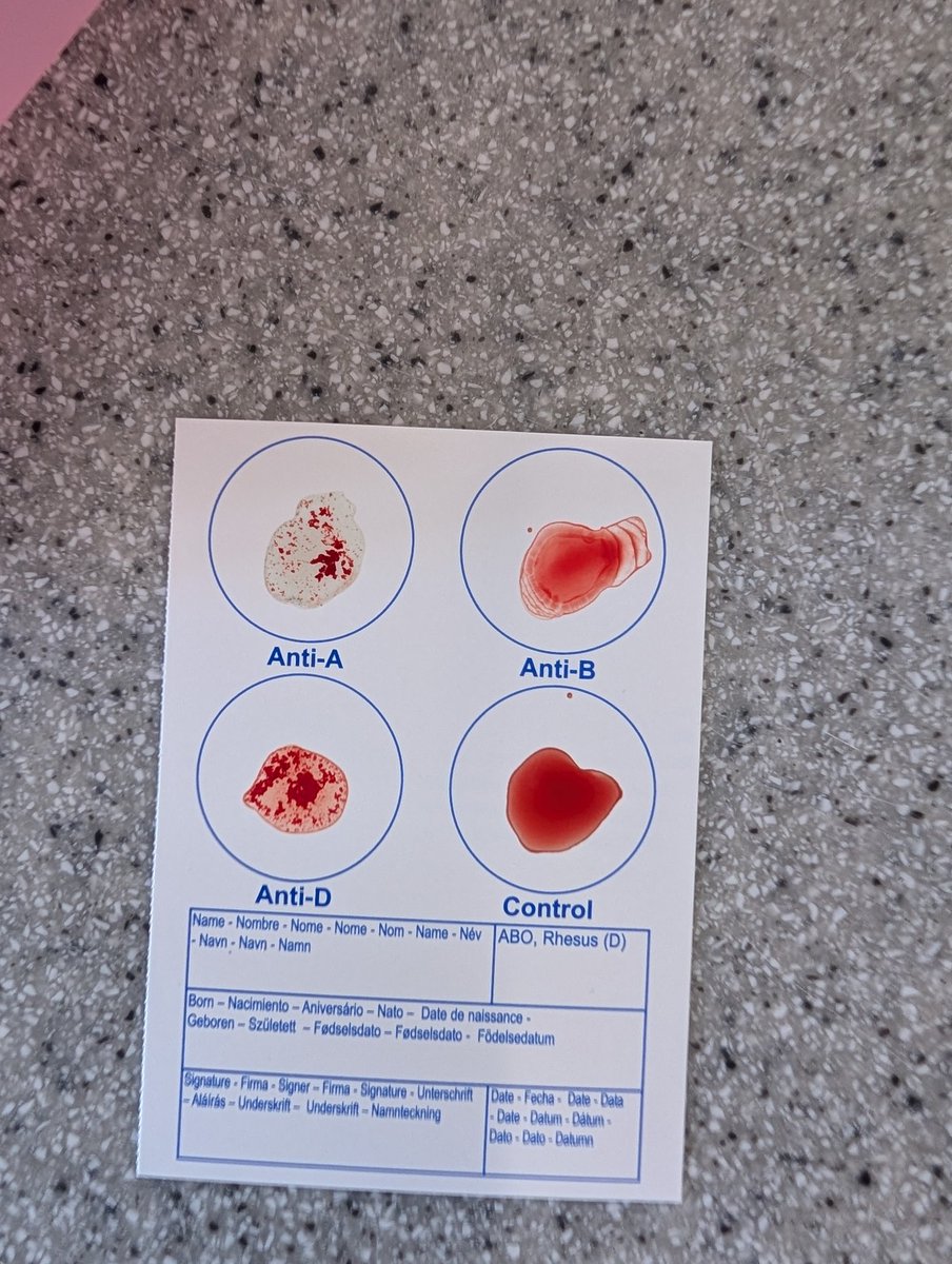 Miss Bird tweet media