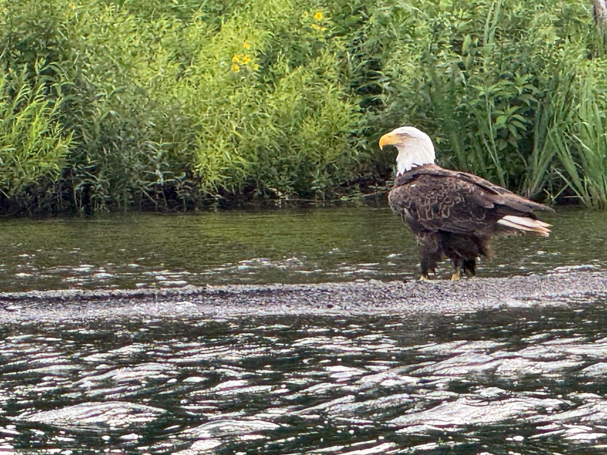 Yesterday on Otsego Lake. 

Photo by Bill Michaels shared to Celebrate Cooperstown