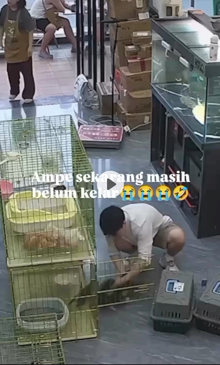 d_Spillshopee's tweet image. Ampe kiamat ga akan kelar 😭😭🤣

#lucu #promotwt #promoguncang #shopee #malming #receh