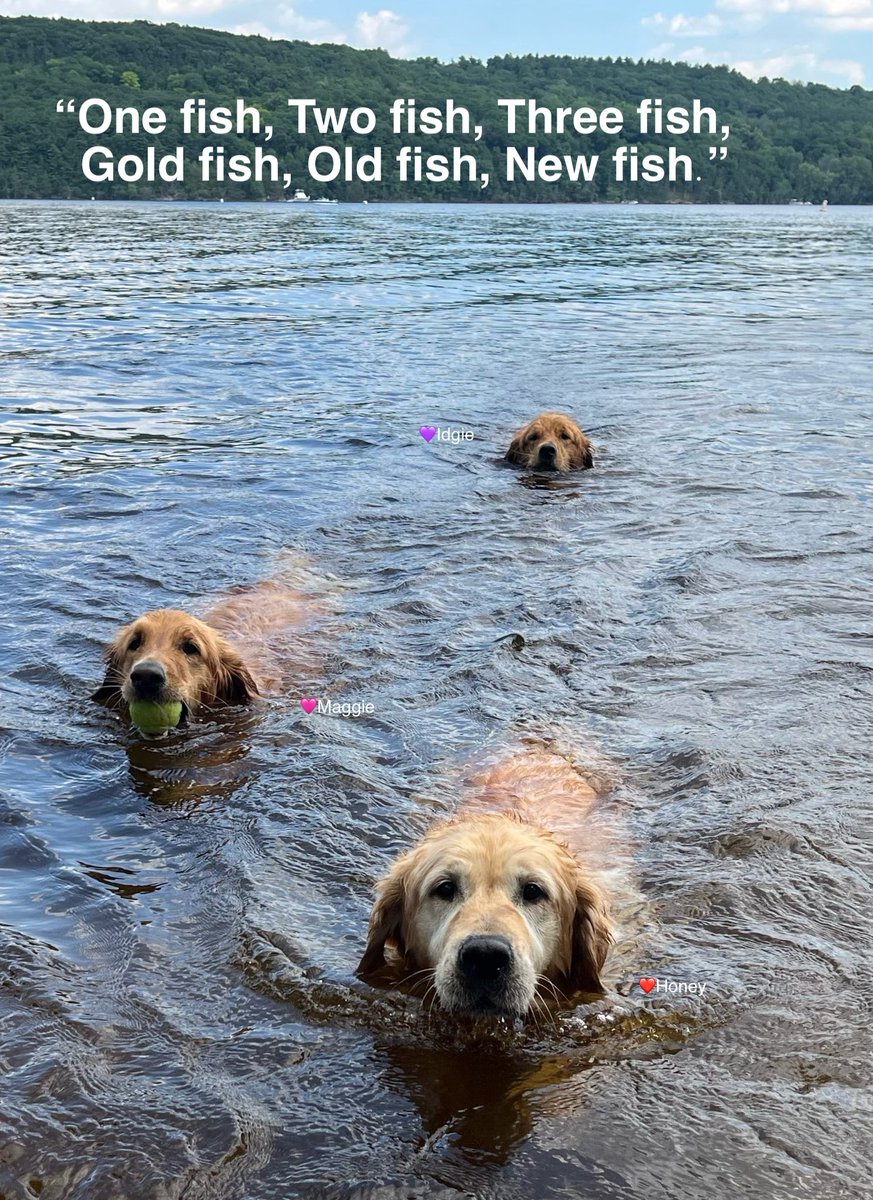 Darbi Jo The Golden tweet media