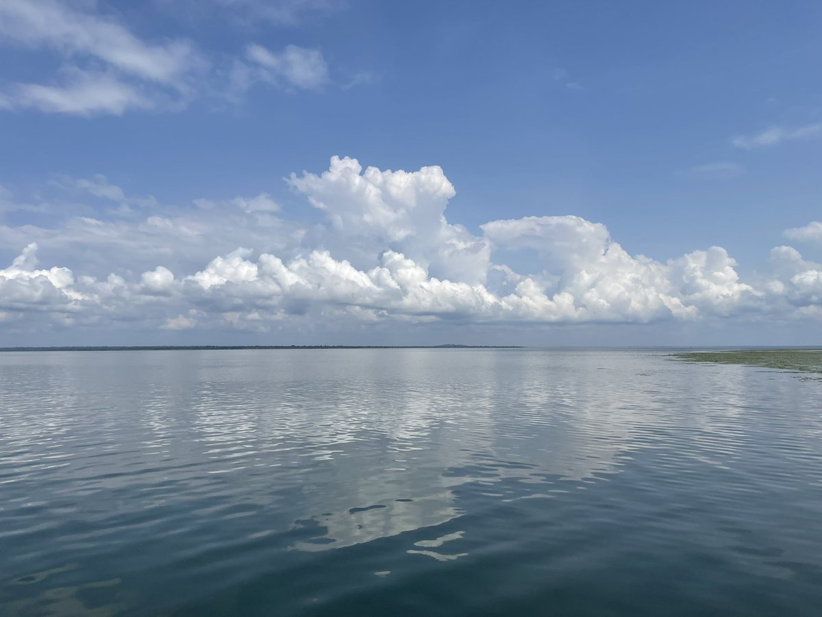 jogwal's tweet photo. Sights of Uganda. Lake Bisina. https://t.co/ong4CooAIH