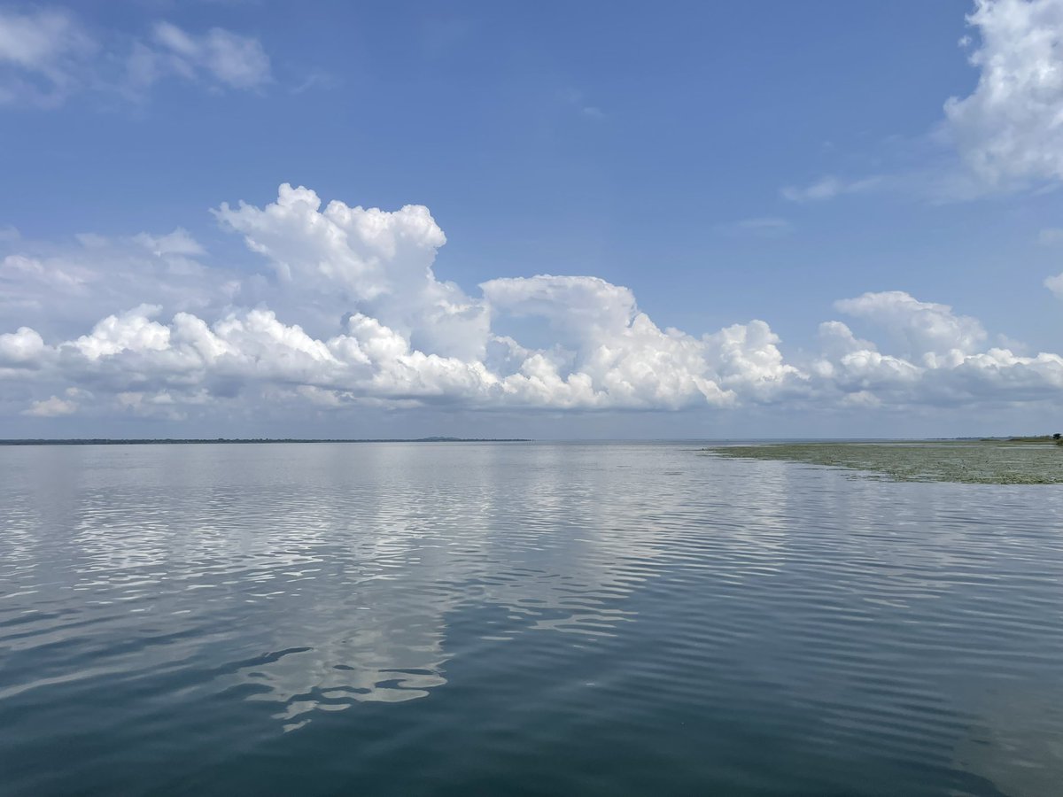 jogwal's tweet photo. Sights of Uganda. Lake Bisina. https://t.co/ong4CooAIH