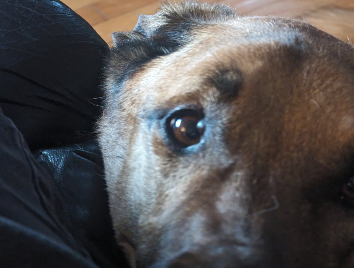 Gerald Brandt tweet media