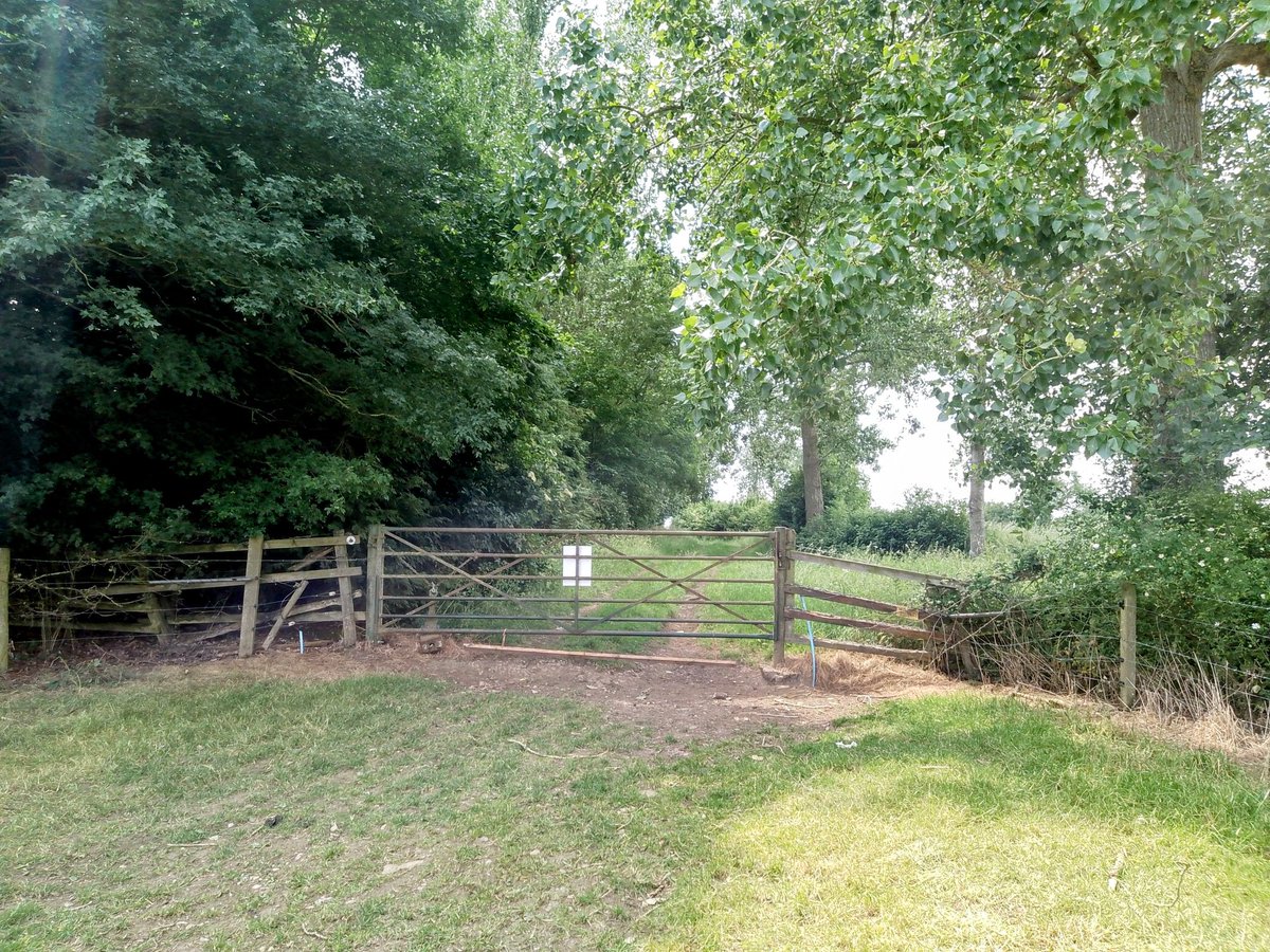 phil0073's tweet photo. Gateway where #Orton2faxton & #Kettering2Faxton ways meet to go past the site of #CrossroadsFarm to #FaxtonCrossroads.
#PhilOnaBike #Thursgate #lovegates #FootpathFriday #BywayFriday #treepeople #JulyJollies https://t.co/KZ3Vv29qEw