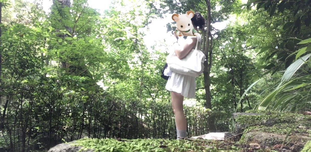 _soso_hehe's tweet photo. 혼자 여행가서 사진 남기는법

셀카모드로 세워두고 영상을 찍는다
-> 캡처한다 https://t.co/dkxYGFvBhk
