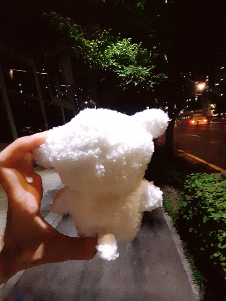 필이 tweet media