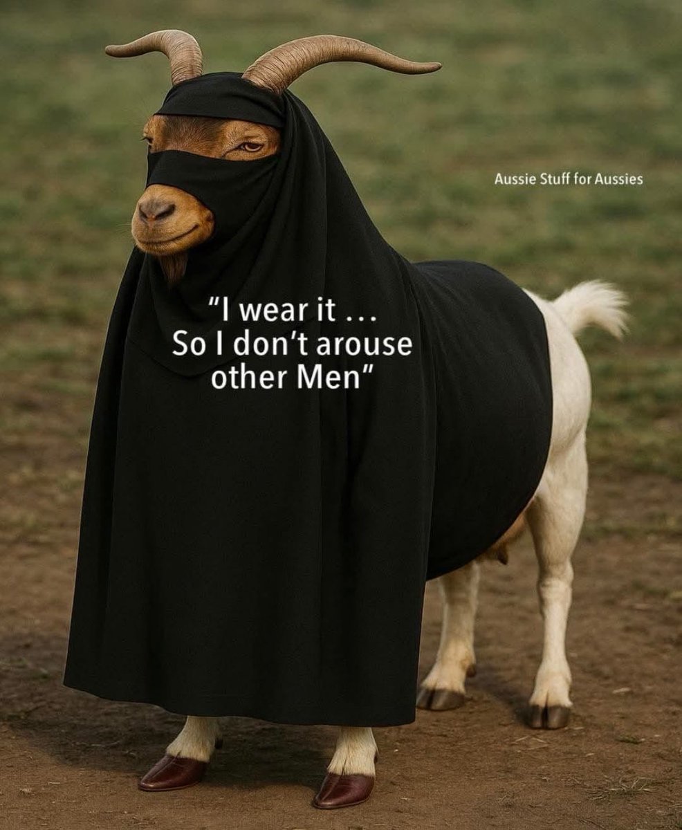 🇺🇸 Justice tweet media