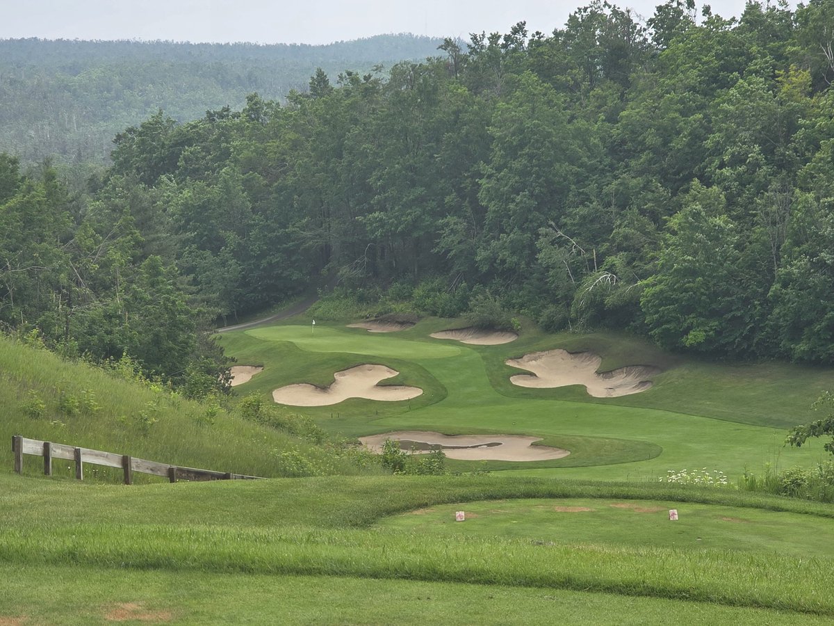 crippler81's tweet image. Took a trip to @TreetopsMich with the boys, it was an absolute blast, some bad golf, some great golf and everything in-between #Golf #golfcourse