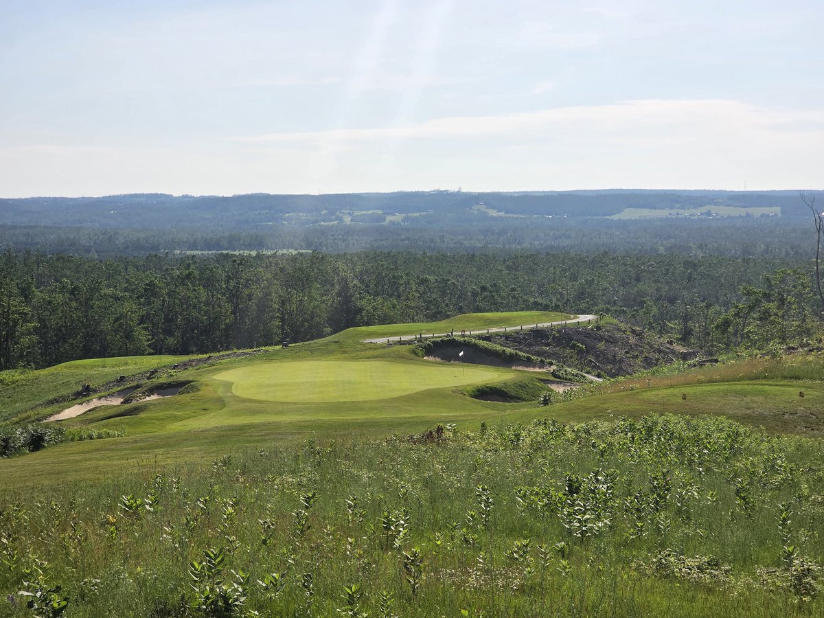 crippler81's tweet image. Took a trip to @TreetopsMich with the boys, it was an absolute blast, some bad golf, some great golf and everything in-between #Golf #golfcourse